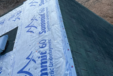 How One Roof Leak Wrecked a Home—Avoid This Mistake!